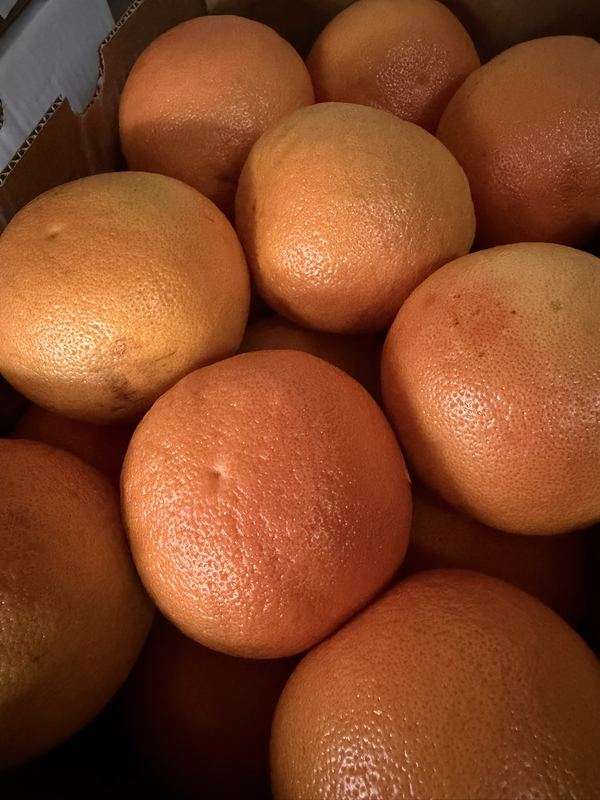 Fresh grapefruits for fresh-fruit hookah
